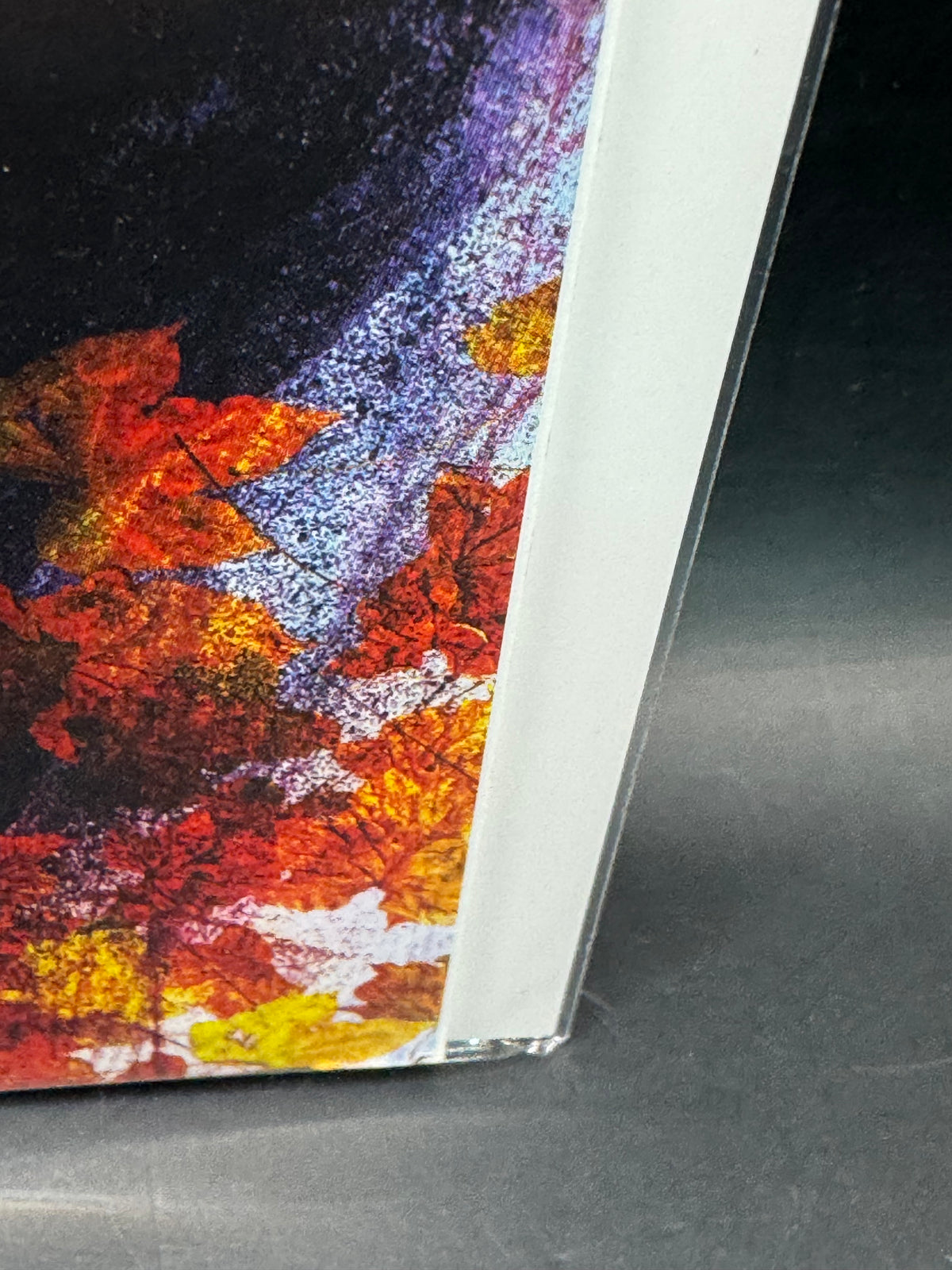 The Autumnal 1 - Vault Comics - Hot Series - 2nd Print 2020