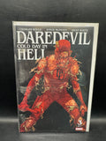 Daredevil: Cold Day In Hell #3 Comic Book