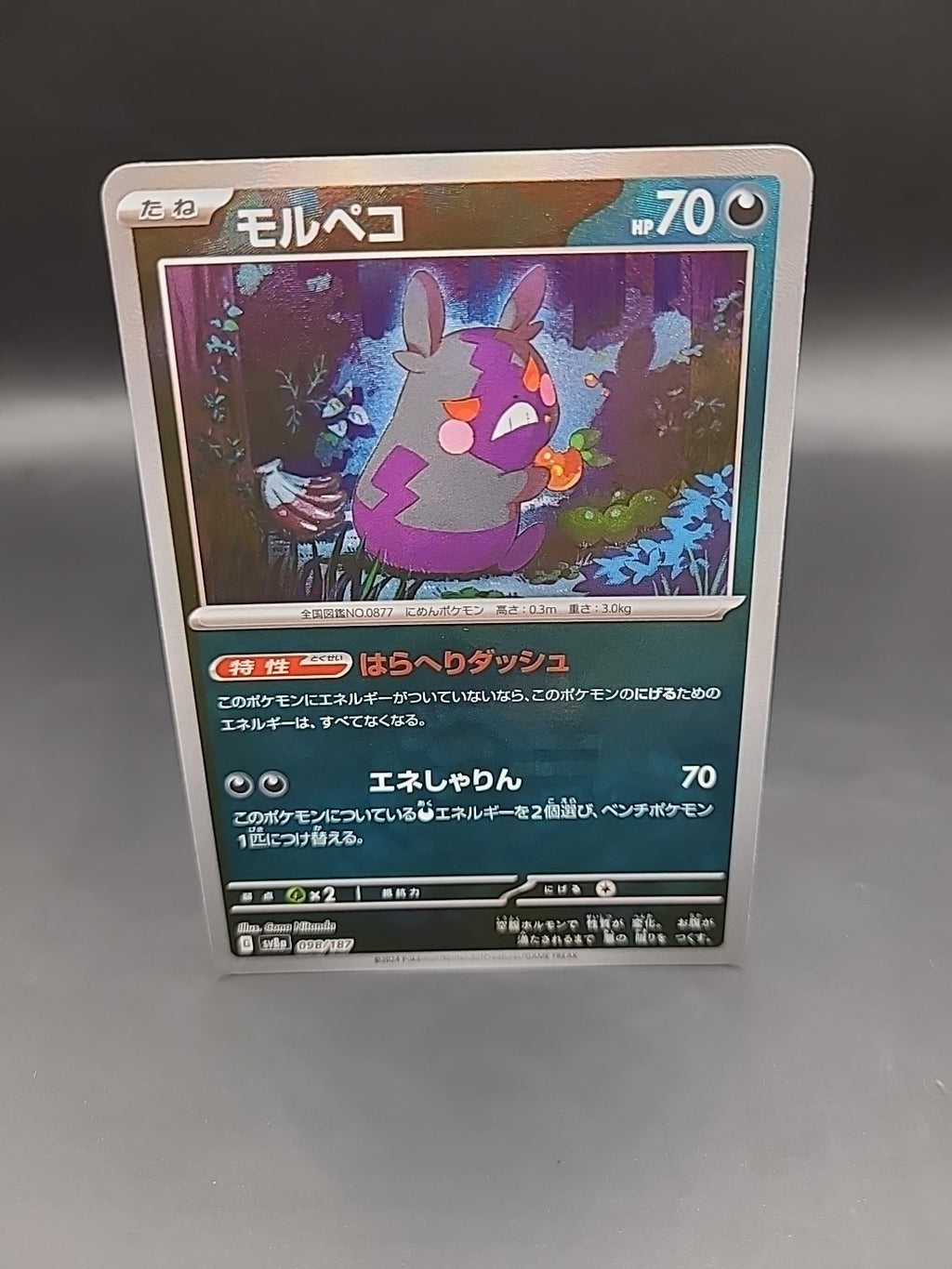 Morpeko [Poke Ball Reverse Holo] 098/187 SV8a Terastal Festival Pokemon