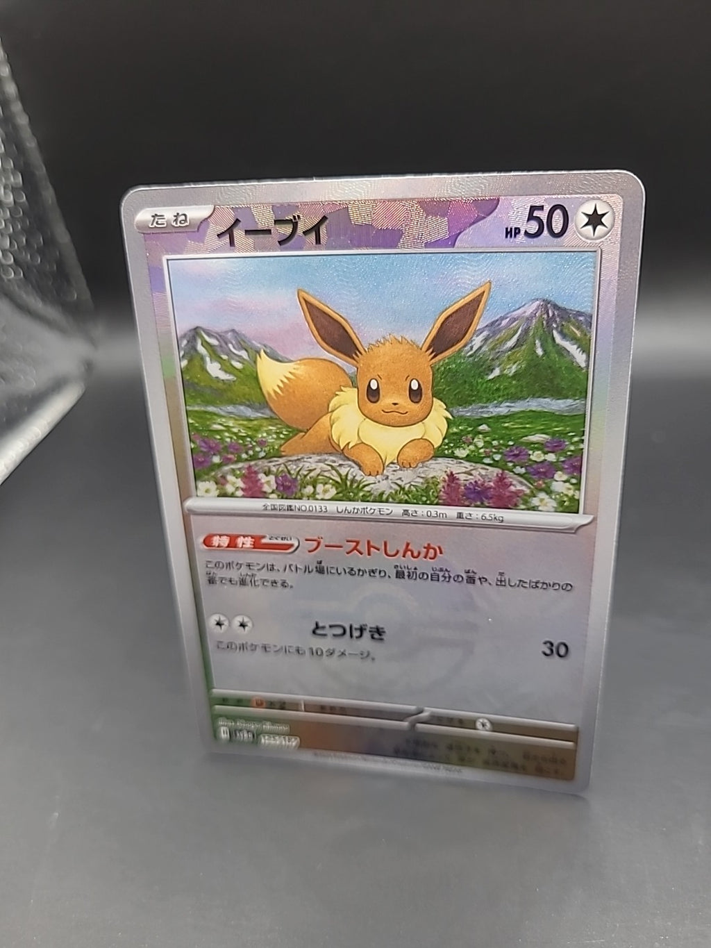 Pokemon TCG Eevee Holo Pokeball 125/187 SV8a Terastal