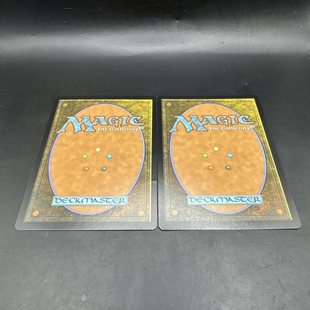 MTG Mirkwood Spider FOIL C0178 Lord of the Rings + Regular Card