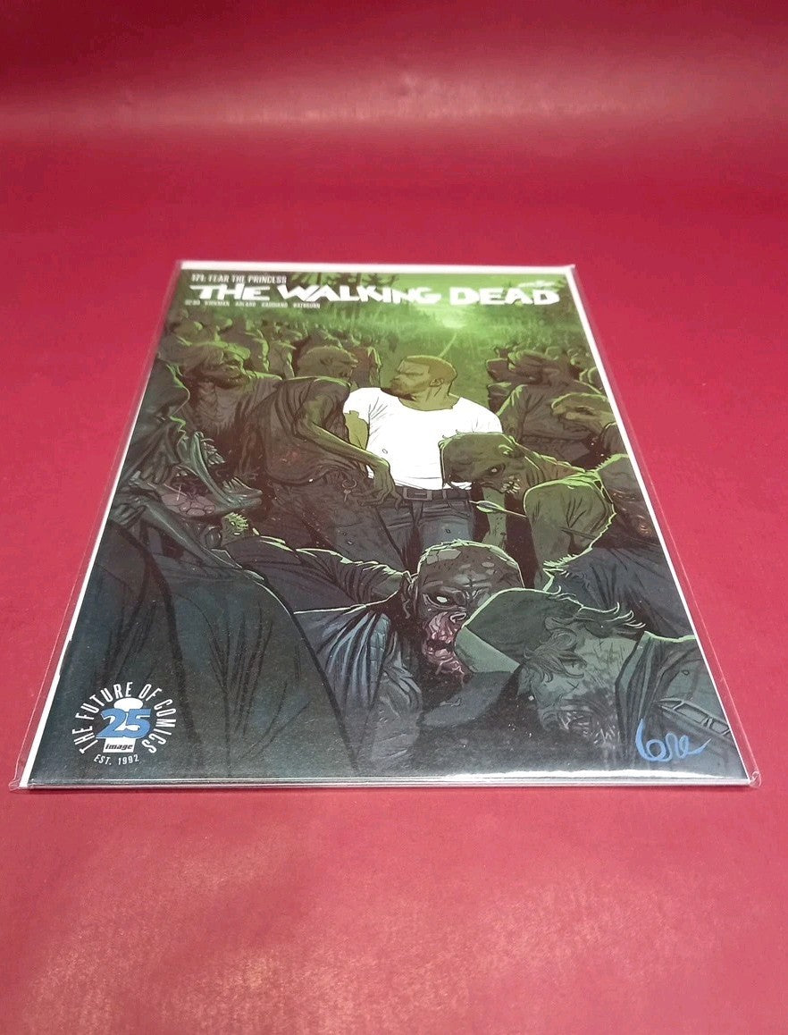 The Walking Dead #171 Fear The Princess Comic Book