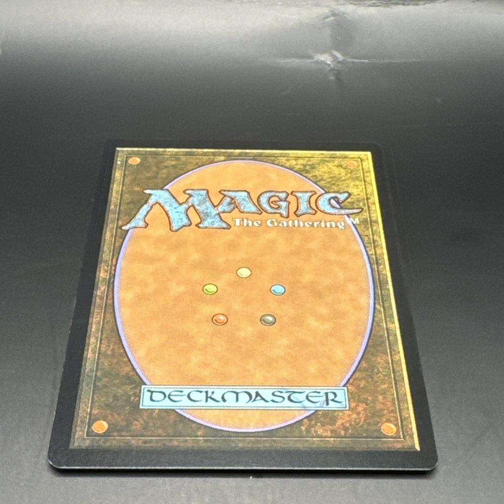 MTG Erkenbrand, Lord of Westfold (Foil) U0123 Lord of the Rings + 1 Regular Card