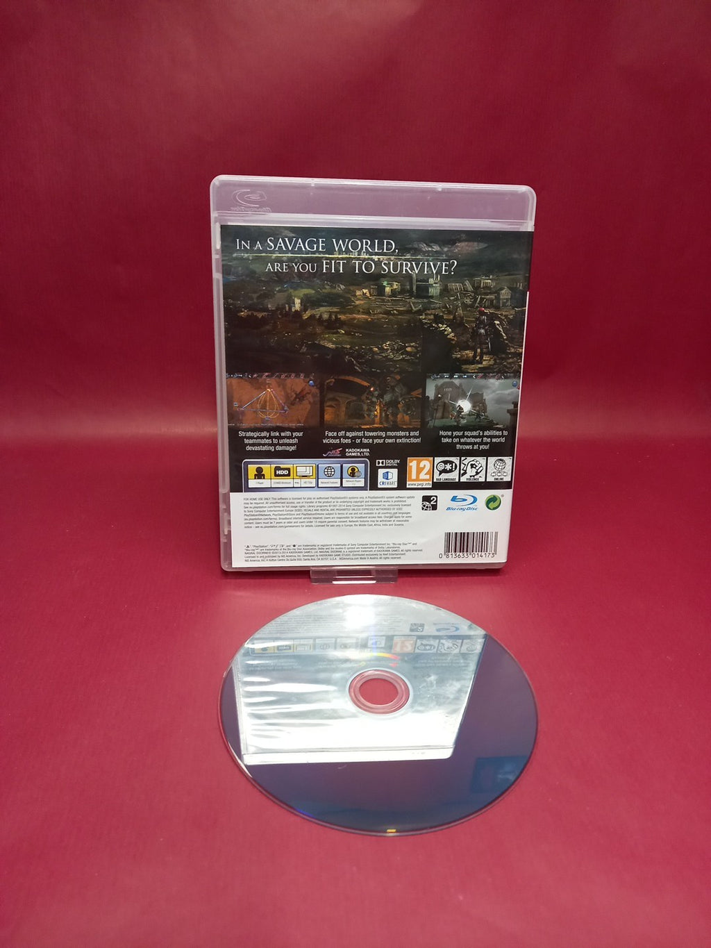Natural Doctrine (Sony PlayStation 3, 2014)