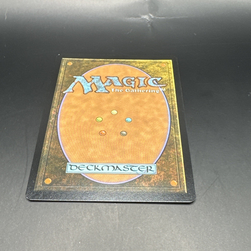 MTG Erkenbrand, Lord of Westfold (Foil) U0123 Lord of the Rings + 1 Regular Card