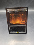 Meduseld, Golden Hall of Edoras (Castle Ardenvale) Surge FOIL #391/MTG