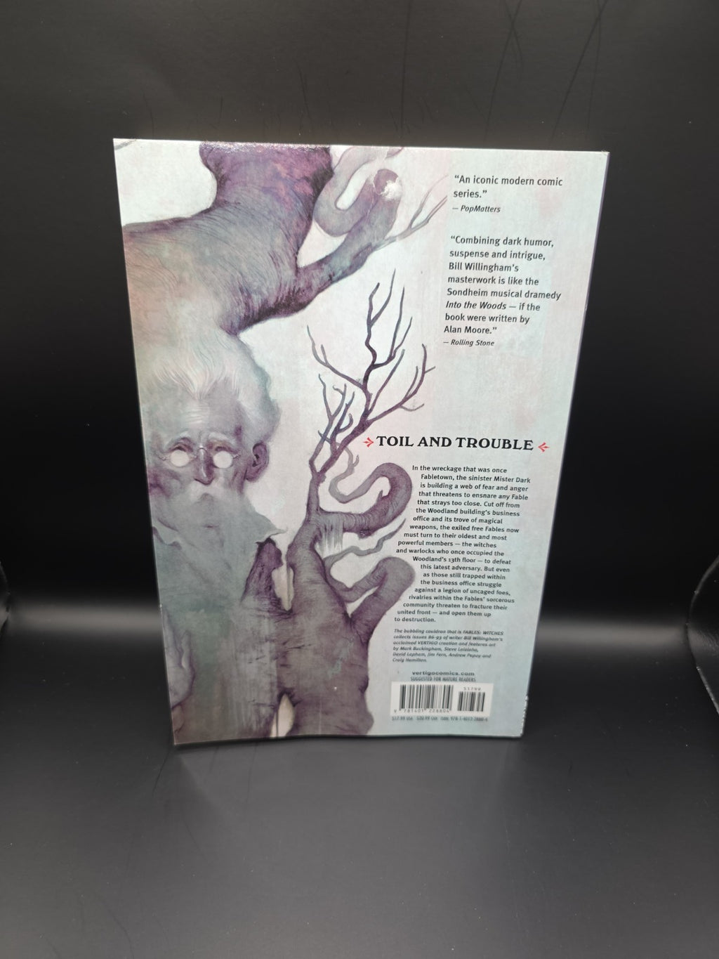 Fables Witches Bill Willingham Graphic Novel 2010 Fantasy
