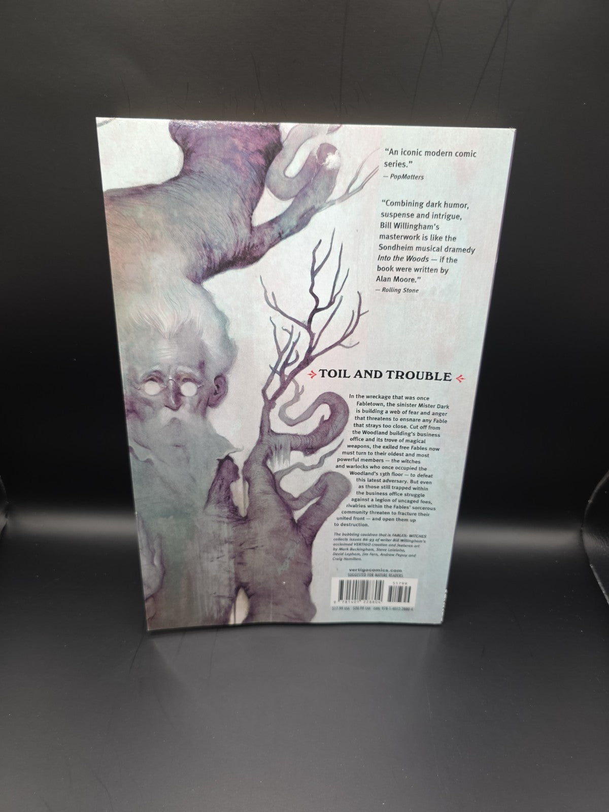 Fables Witches Bill Willingham Graphic Novel 2010 Fantasy