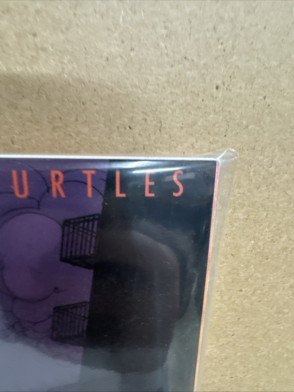 Teenage Mutant Ninja Turtles: The Last Ronin #3 IDW Comics 2021