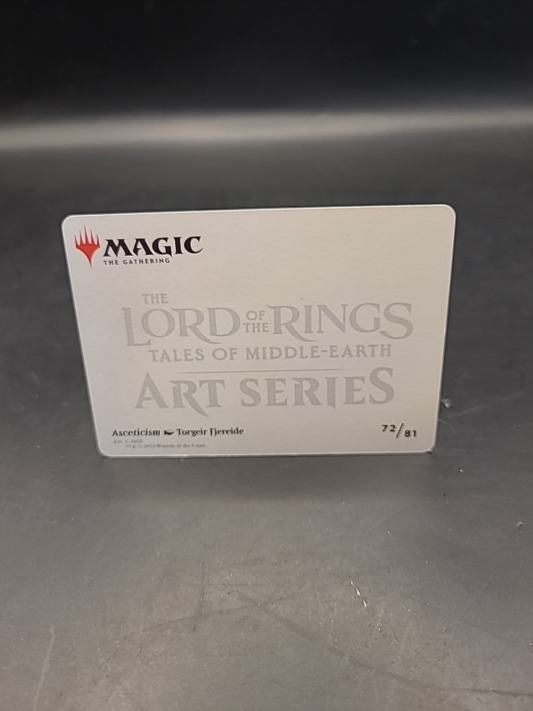 Magic LOTR Art Series: Asceticism 72/81