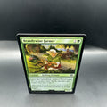 MTG Brandywine Farmer (FOIL) C0155 + 1 Regular Card