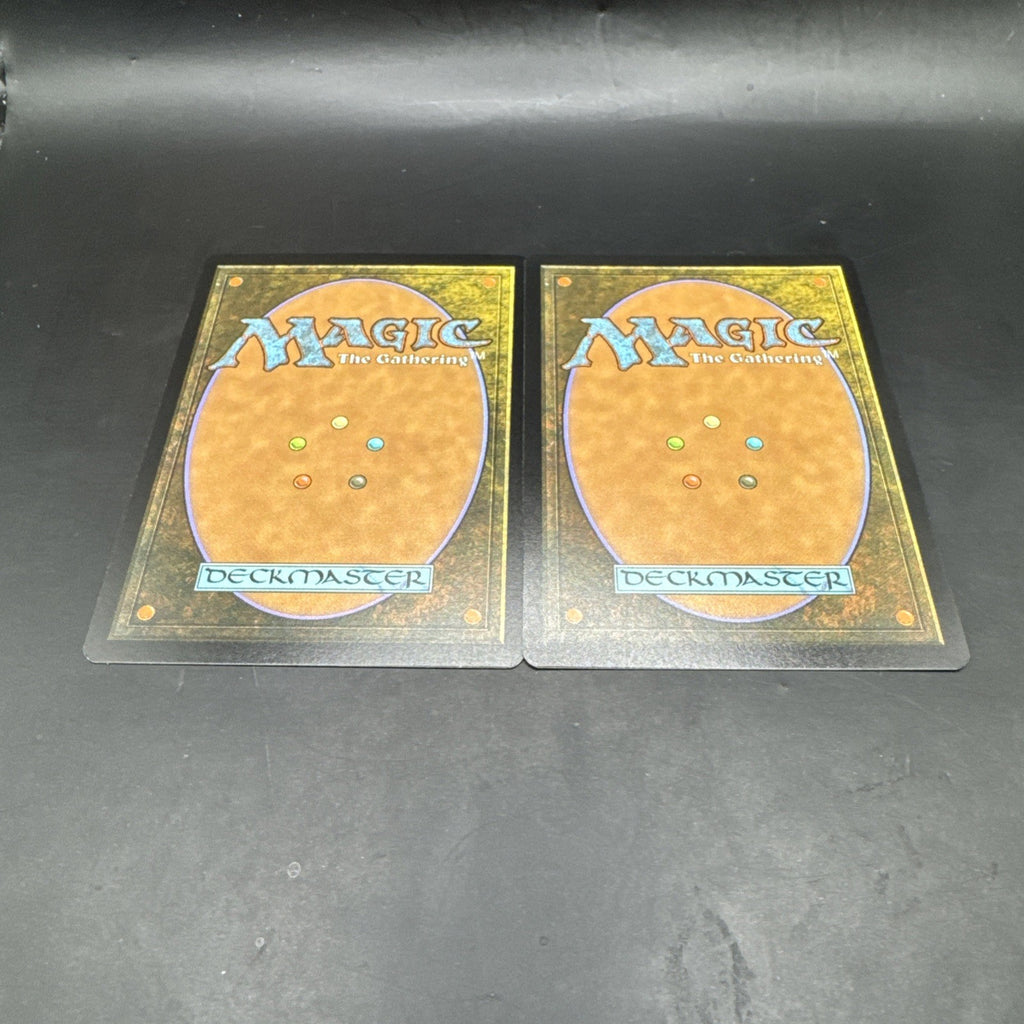 Many Partings MTG FOIL C0176 + Regular Card