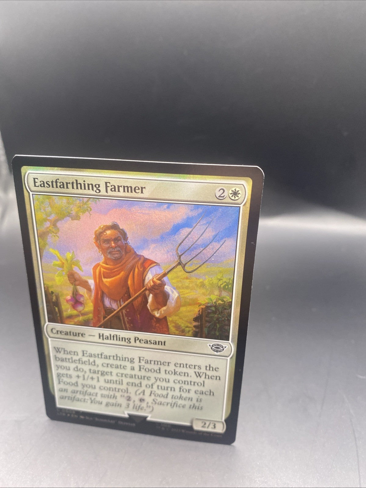 Eastfarthing Farmer - C0008 - Foil - LOTR - MTG + 1 Regular Card