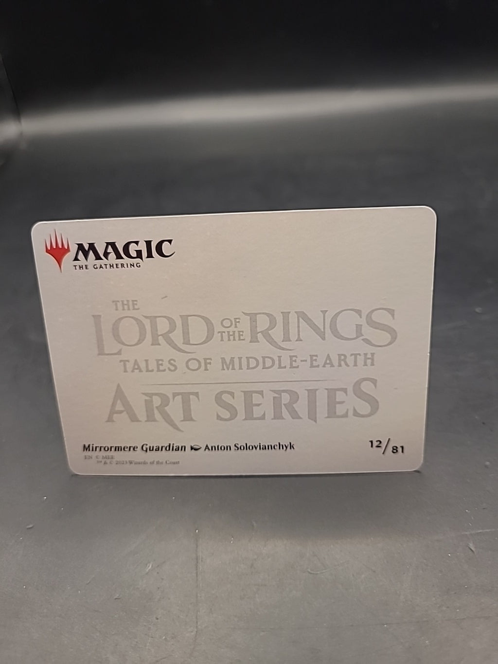 MTG Magic The Gathering Mirrormere Guardian 12/81 Card Games English Rare Card