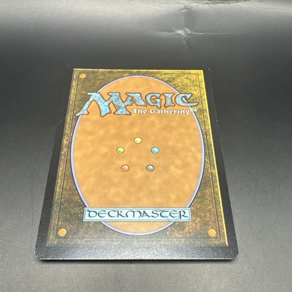 MTG Relentless Rohirrim (FOIL) C0144 + 1 Regular Card