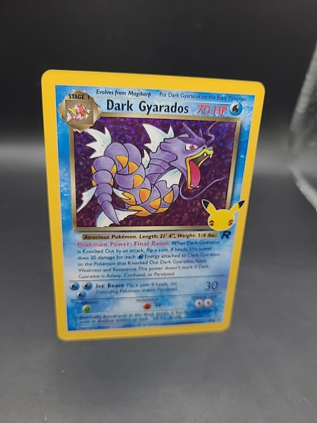 Pokémon TCG Dark Gyarados Holo Card 8/82 Team Rocket 15/82 Celebrations Series