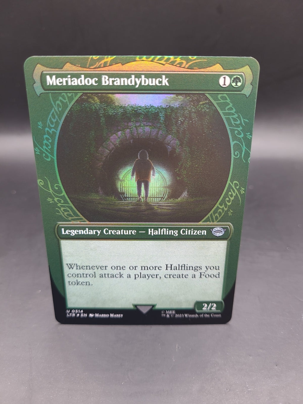 MTG Meriadoc Brandybuck *SHOWCASE FOIL* The Lord of the Rings 0314 M/NM