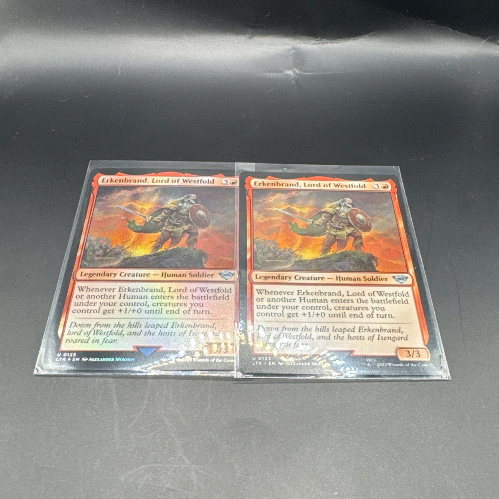 MTG Erkenbrand, Lord of Westfold (Foil) U0123 Lord of the Rings + 1 Regular Card