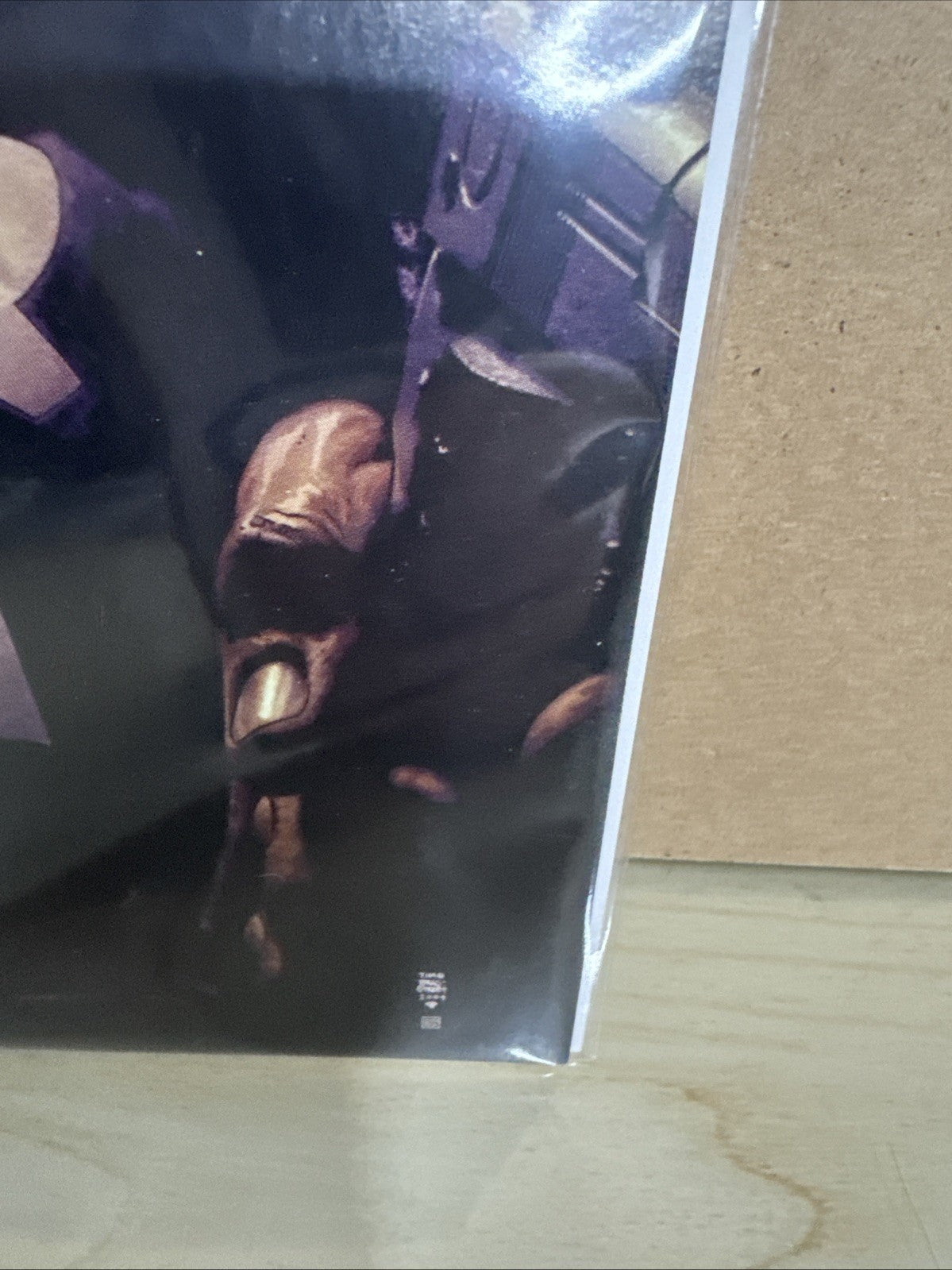 COMIC BOOK MAX COMICS THE PUNISHER #20