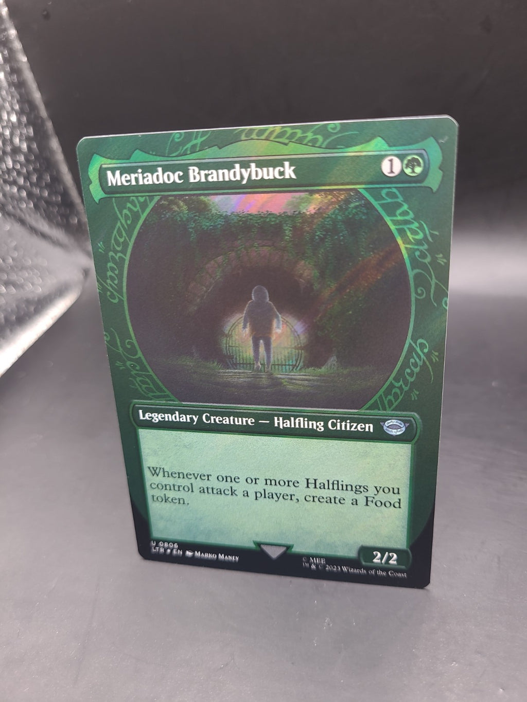 1x (806) Meriadoc Brandybuck - SURGE FOIL - Showcase MTG The Lord of the Rings: 