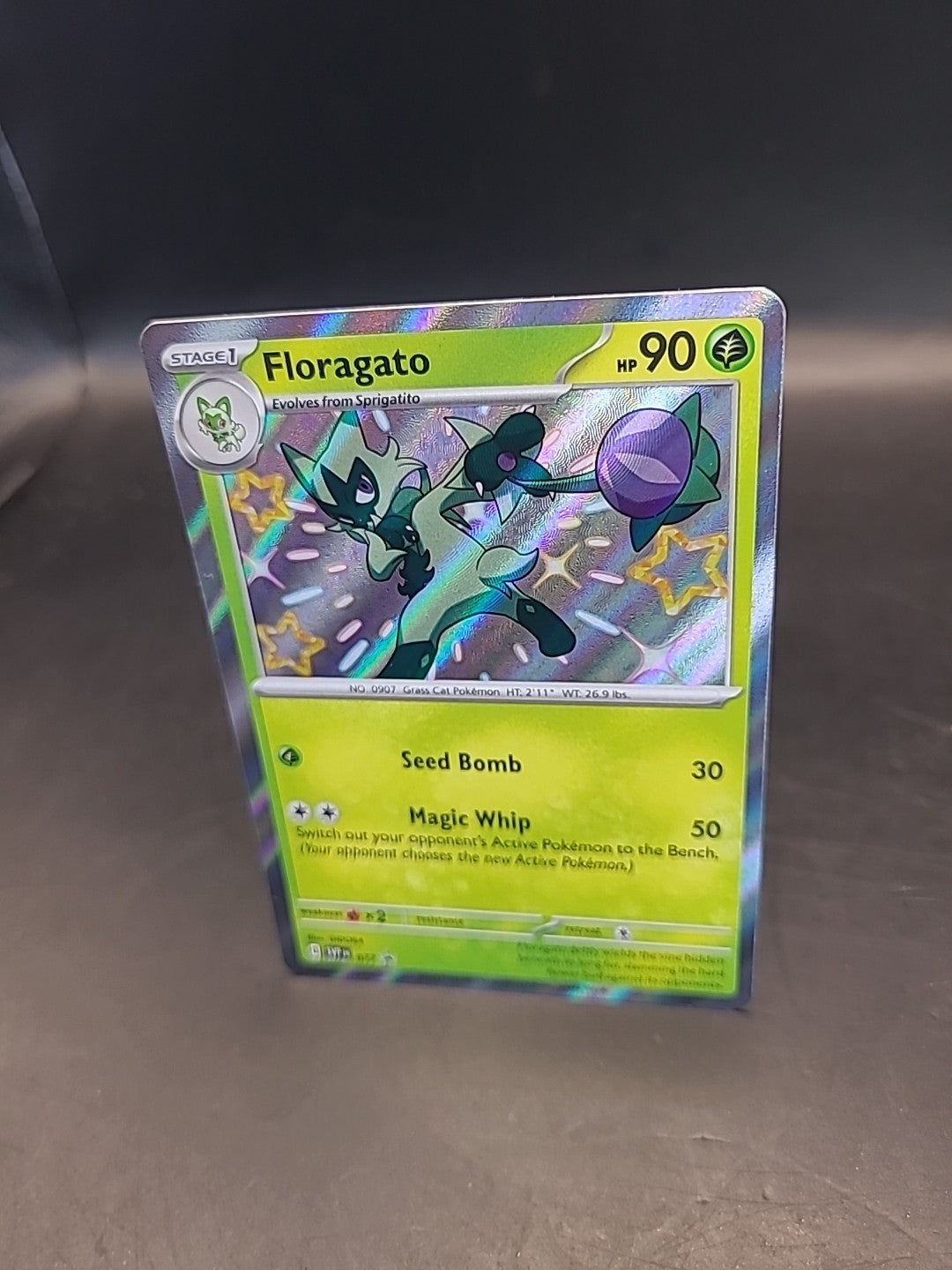 Pokemon Card Floragato SVP077 Holo Black Star Promo