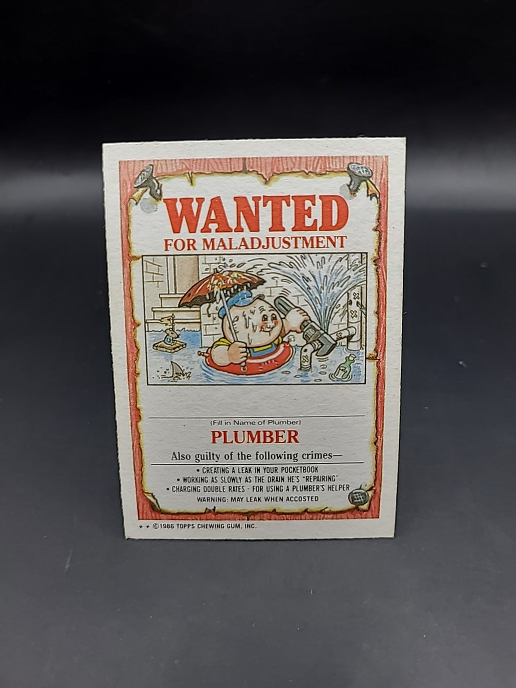 Garbage Pail Kids 169b Terri Cloth 1987  Card GPK UK Series 4 