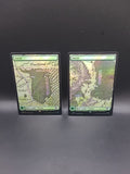 Forest - L0280 & L0281 - Foil - LOTR - MTG