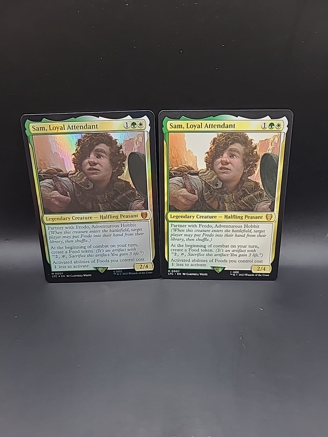 Sam, Loyal Attendant 0007  Foil & Regular Lord of the Rings Commander MTG NM