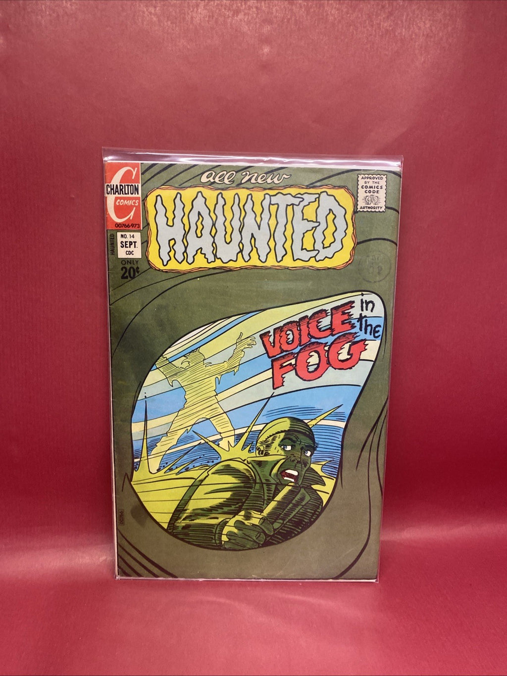 Haunted,Voice In The Fog, Issue 14