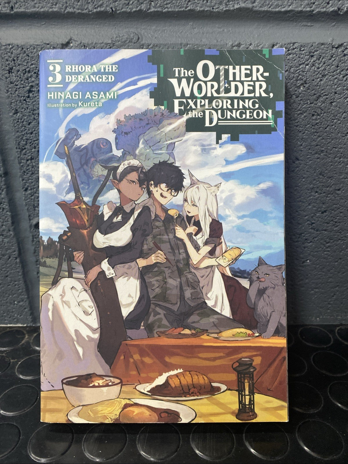 The Otherworlder  Exploring the Dungeon  Vol. 3 (Light Novel) By Asami Hinagi...