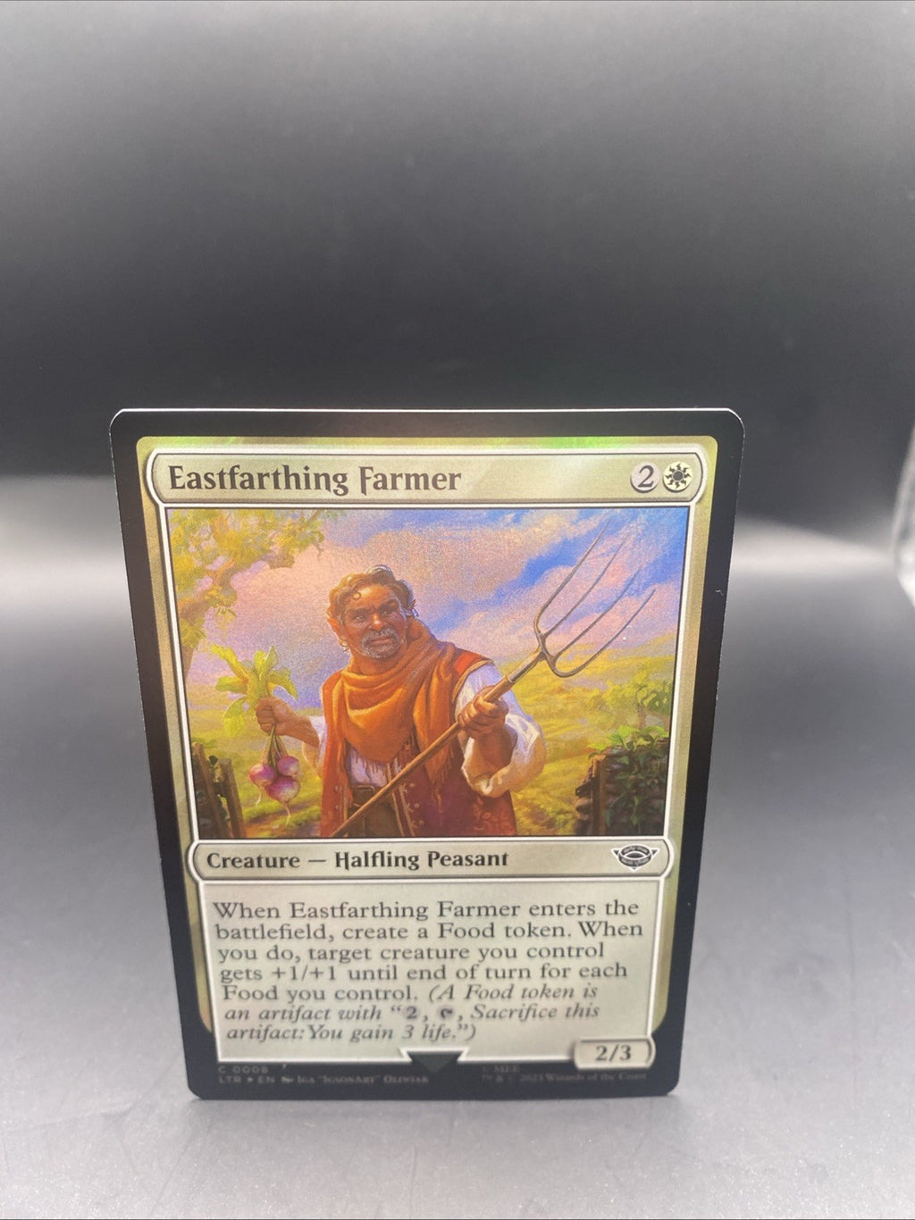 Eastfarthing Farmer - C0008 - Foil - LOTR - MTG + 1 Regular Card