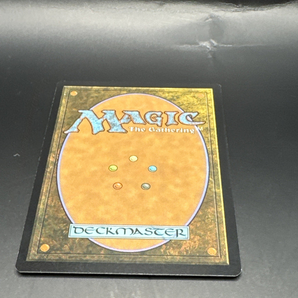 MTG Haradrim Spearmaster (Foil) C0135 Lord of the RIngs + 1 Regular Card