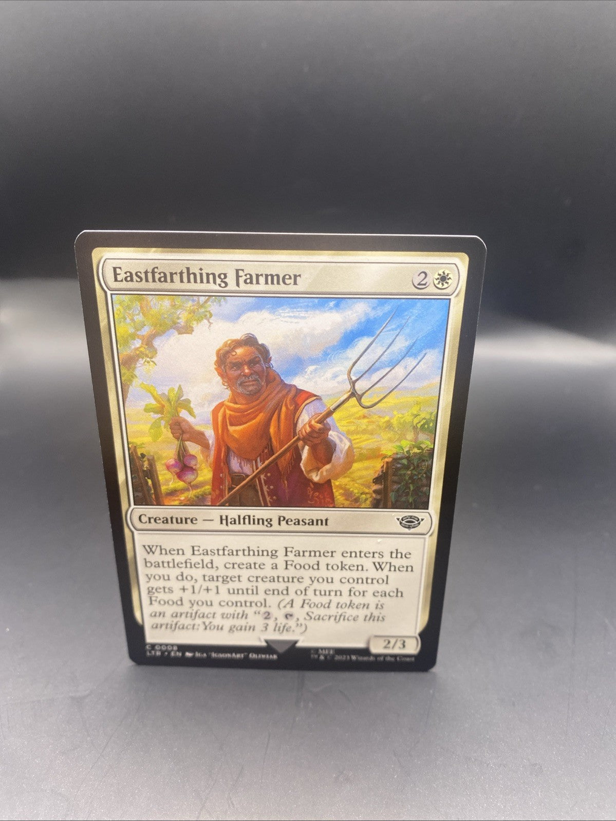 Eastfarthing Farmer - C0008 - Foil - LOTR - MTG + 1 Regular Card