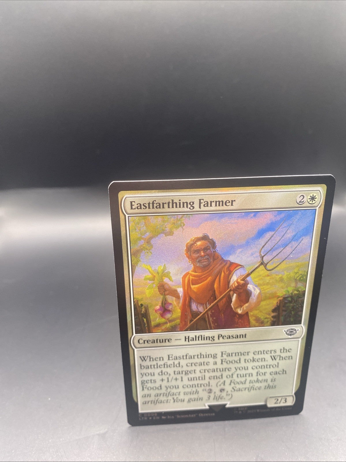 Eastfarthing Farmer - C0008 - Foil - LOTR - MTG + 1 Regular Card