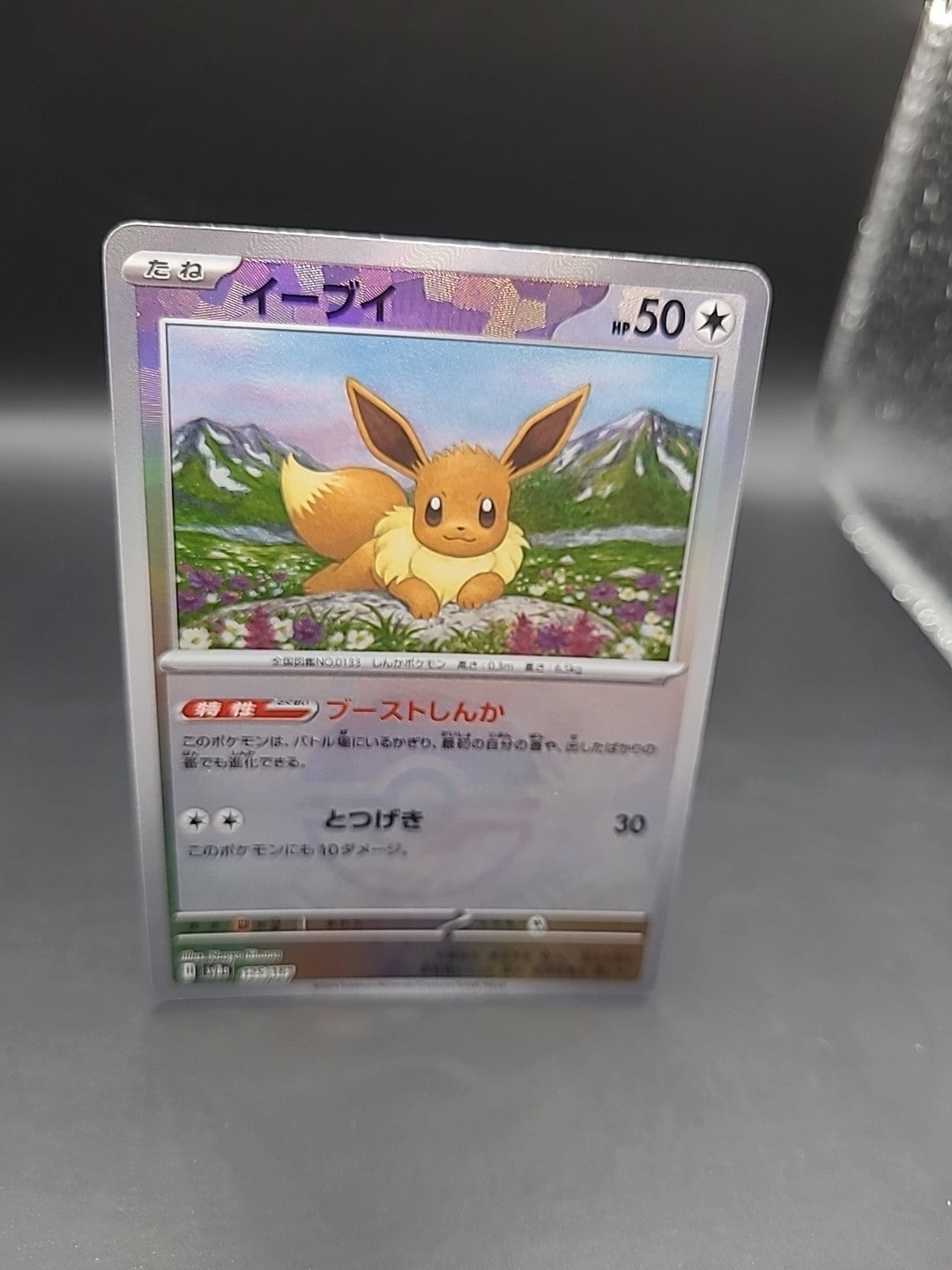 Pokemon TCG Eevee Holo Pokeball 125/187 SV8a Terastal
