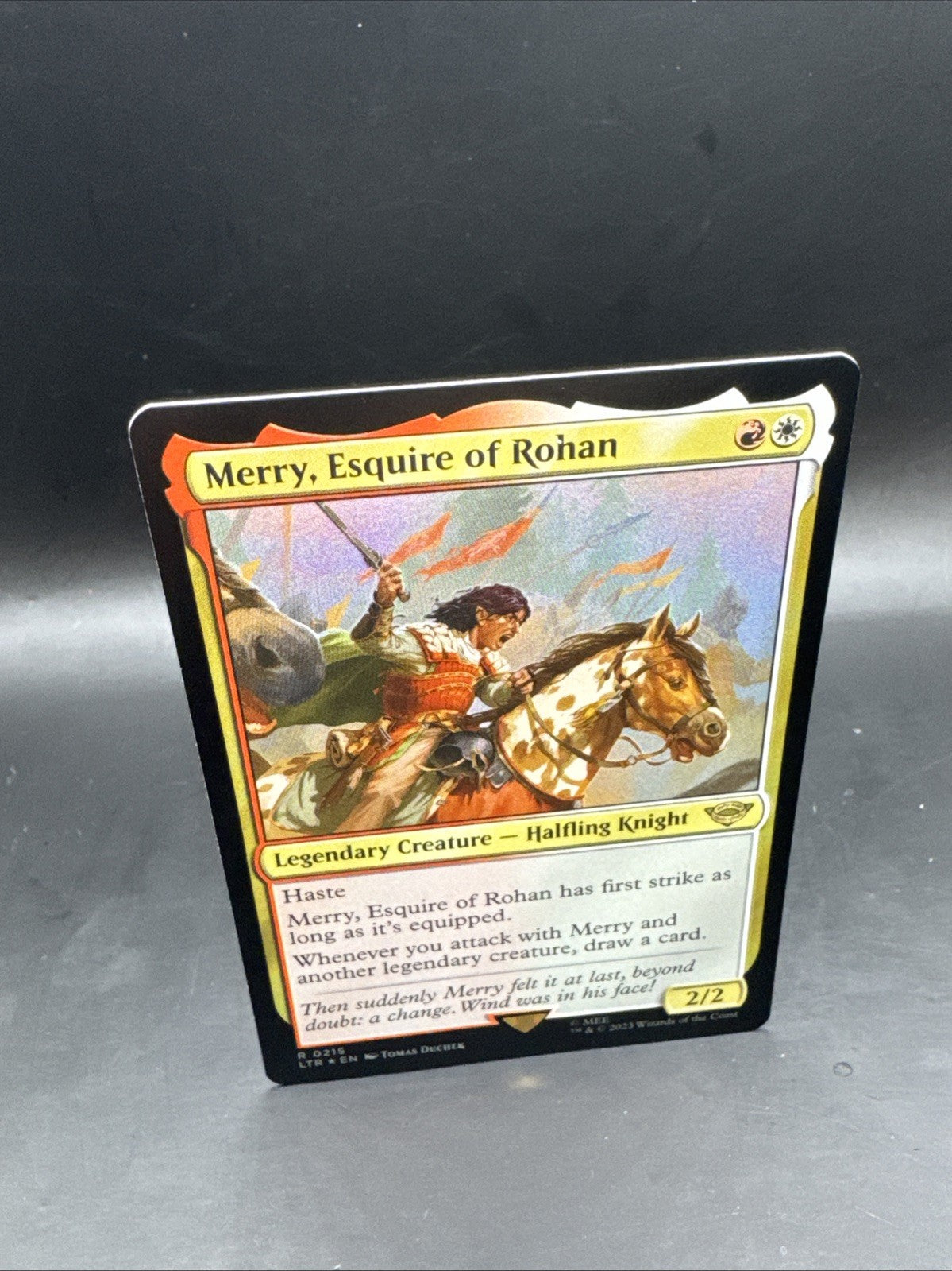 Merry, Esquire of Rohan  Foil  The Lord of the Rings NM MTG