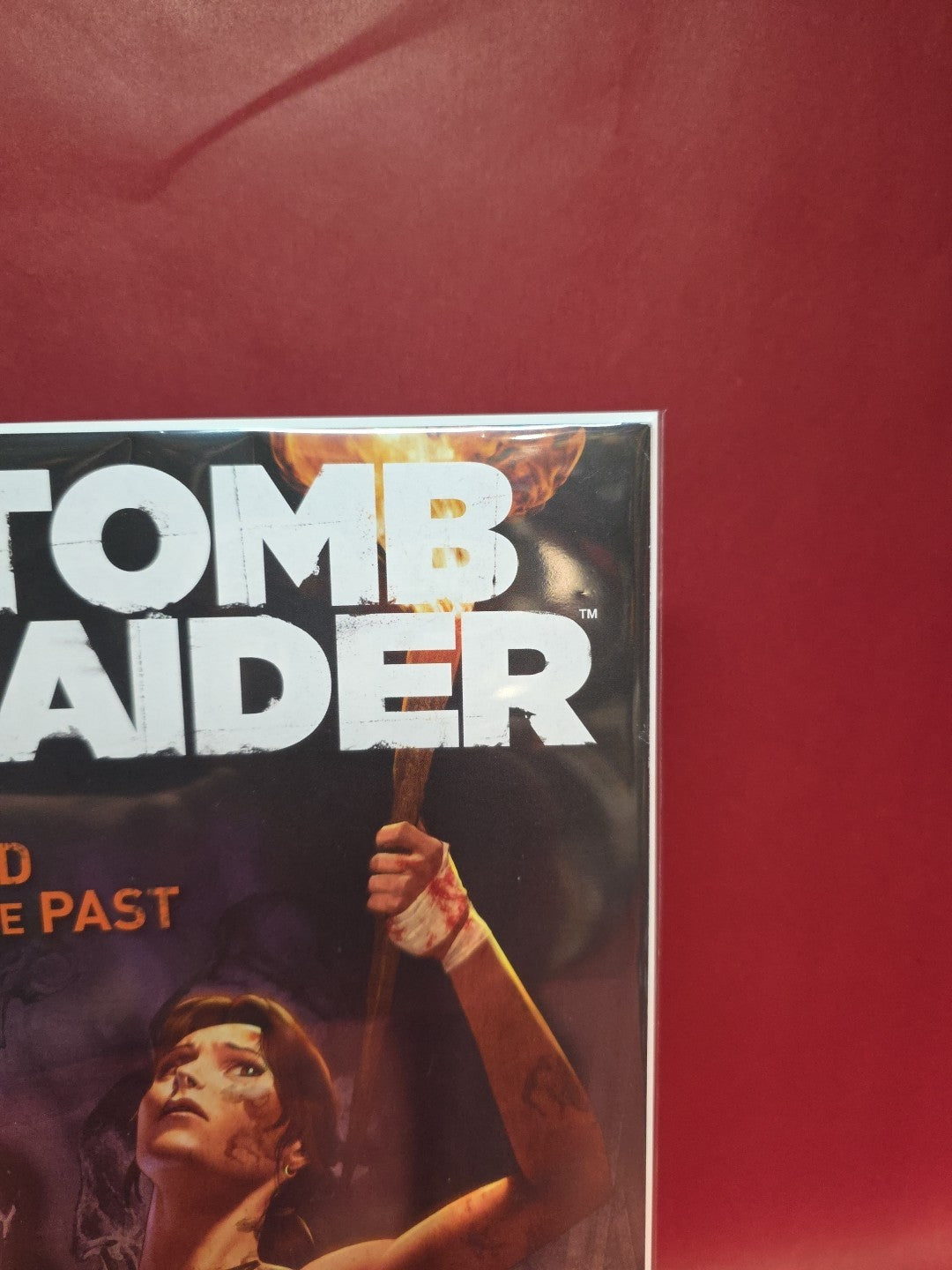 TOMB RAIDER #3 Dark Horse, Lara Croft, Haunted By The Past, 2014 