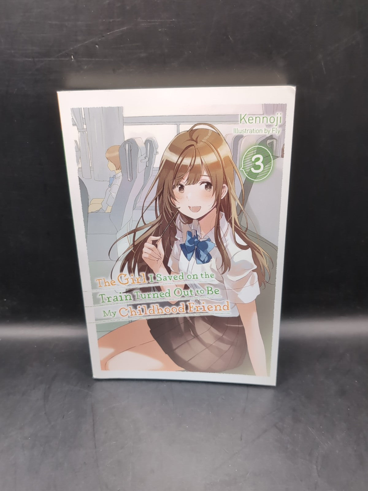 The Girl I Saved on the Train Turned Out to Be My Childhood Friend, Vol. 3 (ligh