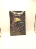 The Witcher Volume 5: Fading Memories by Bartosz Sztybor (Paperback, 2021)