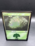 Forest (0270) #270 (Foil) Lord of the Rings LTR Magic MTG