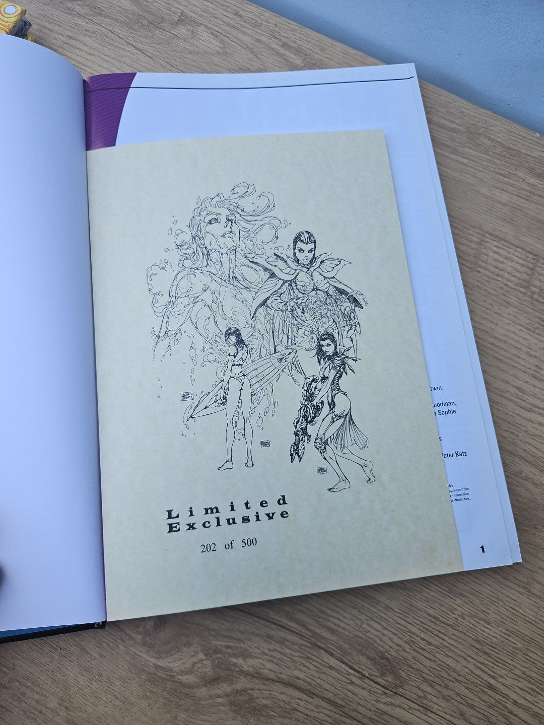 Michael Turner: The Ultimate Tribute Gallery Edition Hardcover 202/500