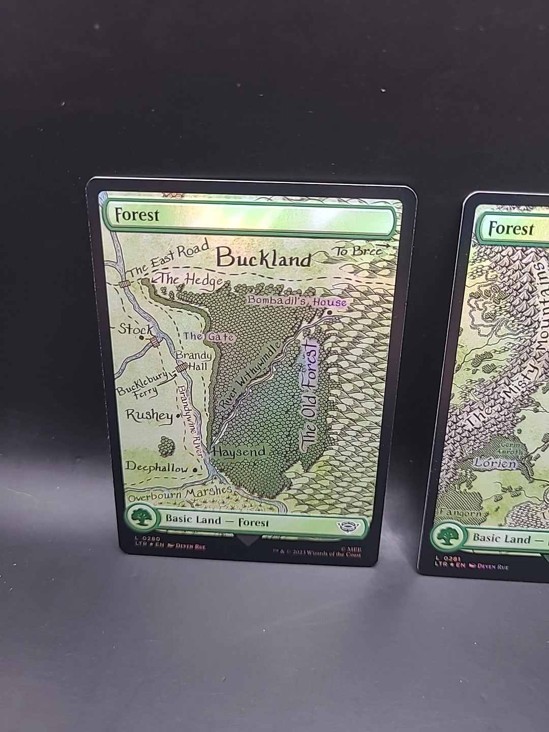 Forest - L0280 & L0281 - Foil - LOTR - MTG