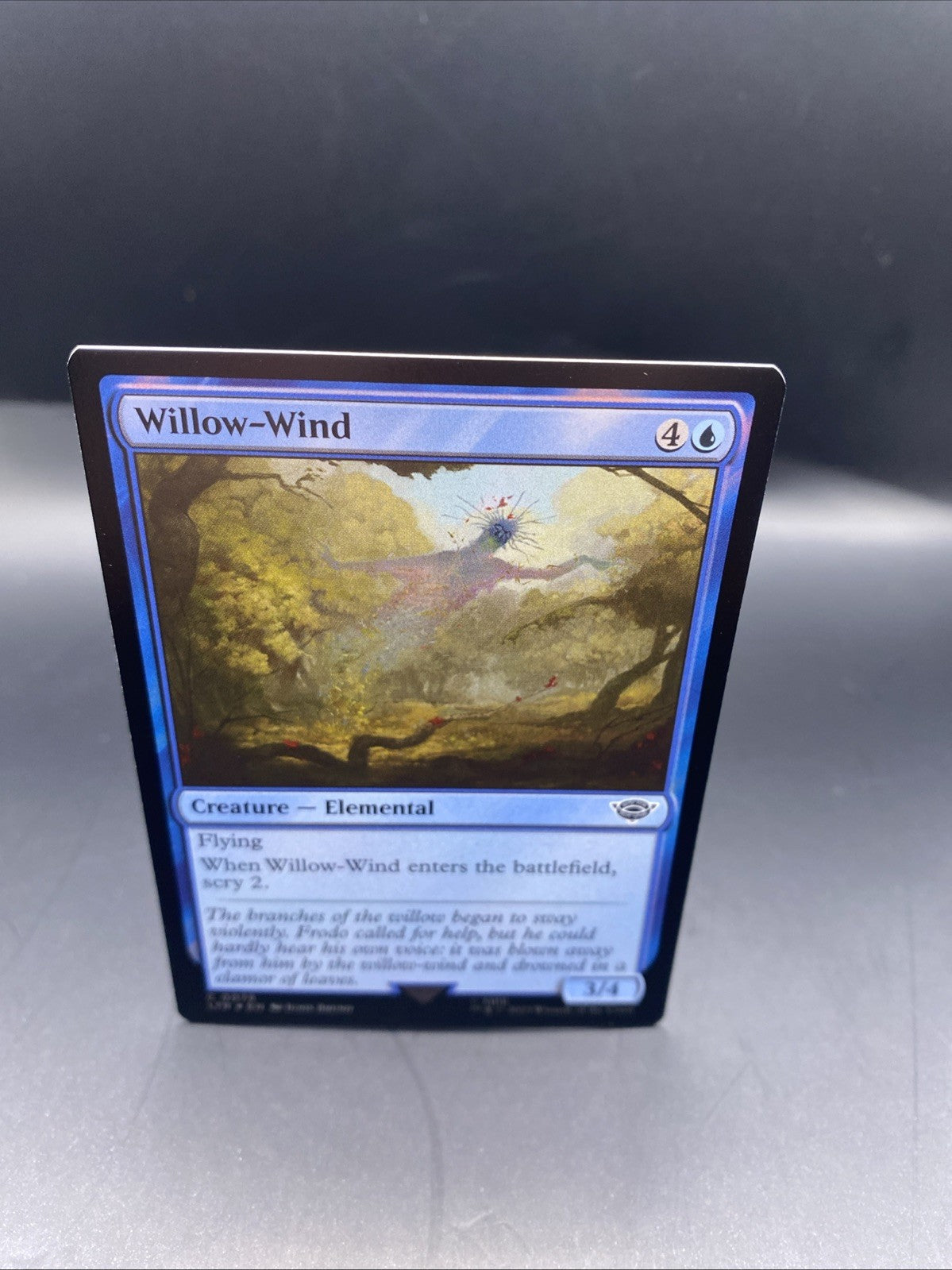 MTG Willow-Wind (Foil) [Tales of Middle-Earth, Near Mint] + Regular Card
