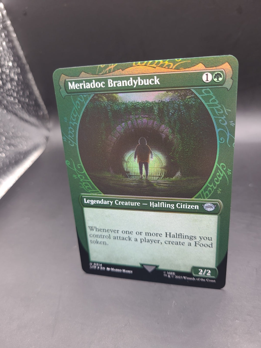 MTG Meriadoc Brandybuck *SHOWCASE FOIL* The Lord of the Rings 0314 M/NM