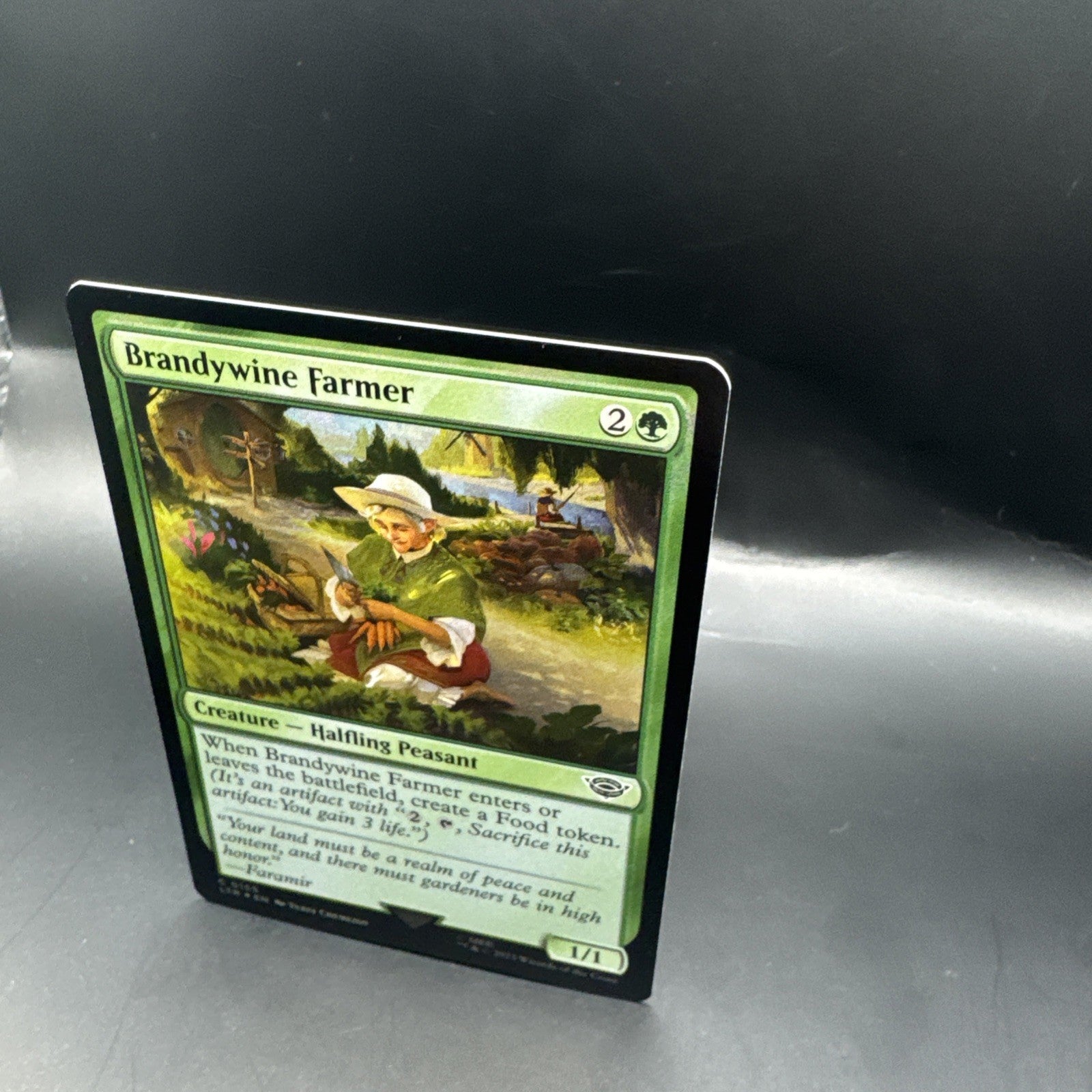 MTG Brandywine Farmer (FOIL) C0155 + 1 Regular Card