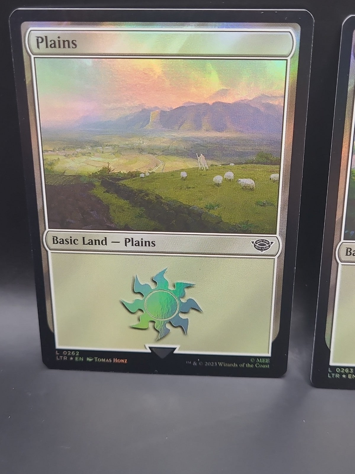 Plains (0262 & 0263)(Foil) (NM) Lord of the Rings LTR Magic MTG