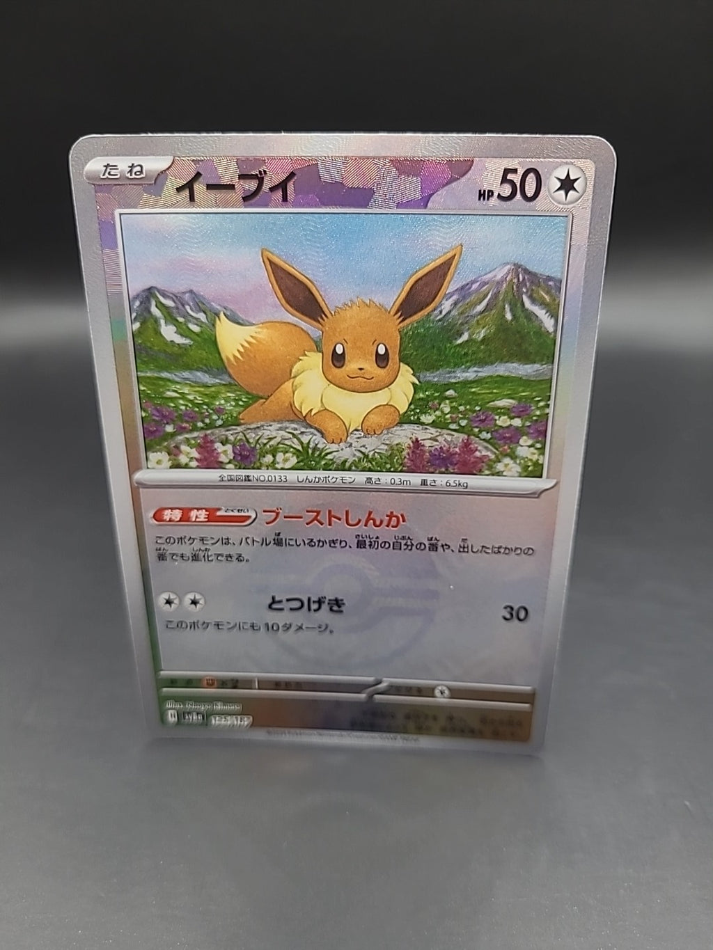 Pokemon TCG Eevee Holo Pokeball 125/187 SV8a Terastal