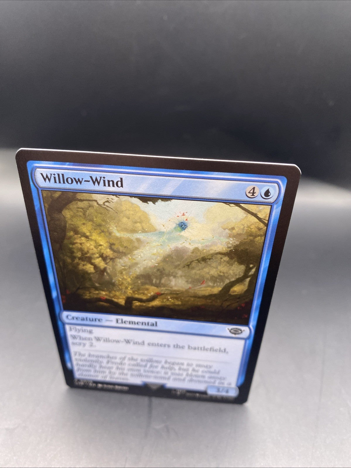 MTG Willow-Wind (Foil) [Tales of Middle-Earth, Near Mint] + Regular Card