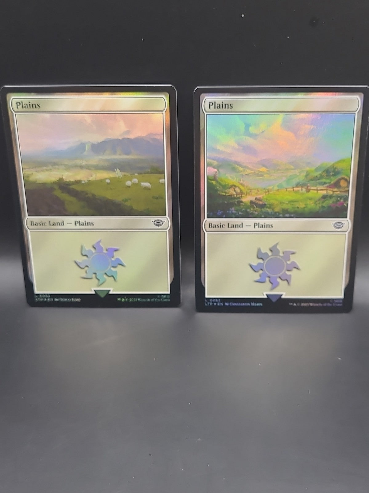 Plains (0262 & 0263)(Foil) (NM) Lord of the Rings LTR Magic MTG