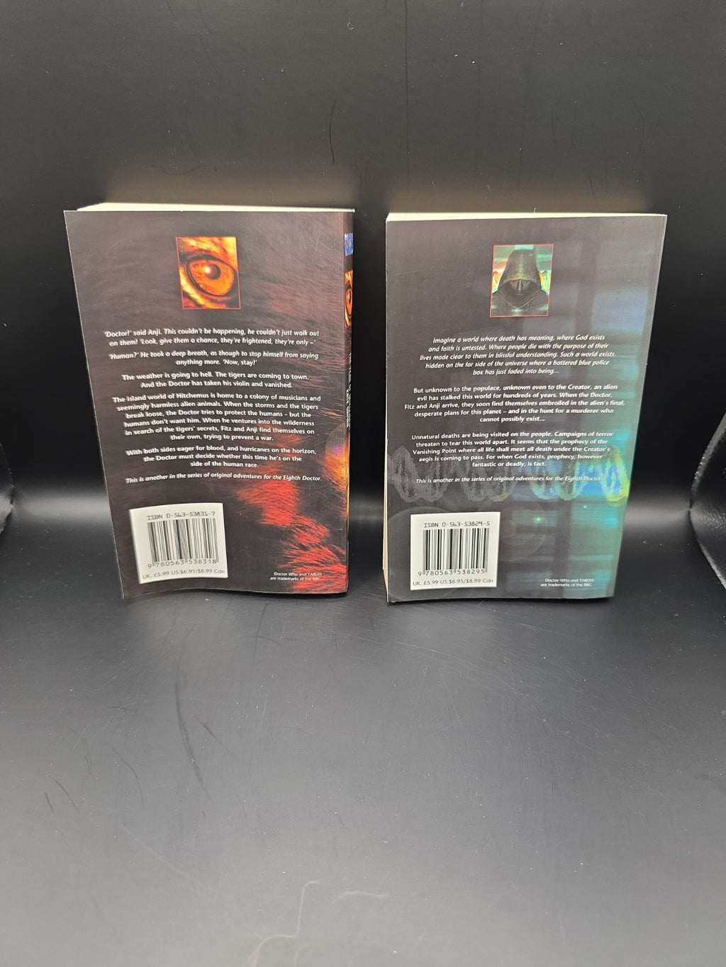 2 X Doctor Who Books Intelligent Tigers & Vanishing Point